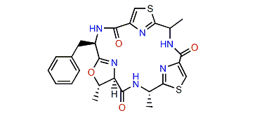 Banyascyclamide A